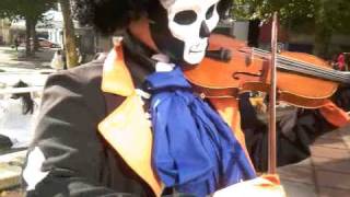 Brook Cosplayer PLAYING Binks Saké [upl. by Lledal]