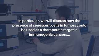 Senescent Cell Vaccines Immune Response Against Cancer amp Aging  AgingUS [upl. by Akins]