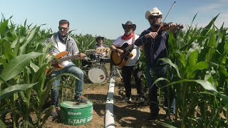 TTape Band  Lets Grow Corn [upl. by Enilegna]