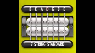 Perfect Guitar Tuner 7 String Standard  B E A D G B E [upl. by Campbell81]