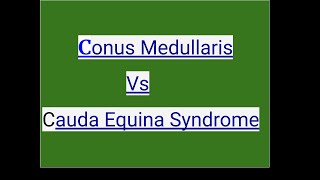 Conus Medullaris Vs cauda Equina Syndrome [upl. by Batchelor238]