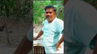 Awdhi comedy and funny video hawai jahaj v S awarej dwarka desi murgi farm youtubesort funny [upl. by Burd]