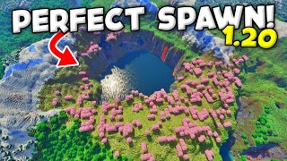 PERFECT Minecraft 120 CHERRY BLOSSOM Seed [upl. by Norihs]