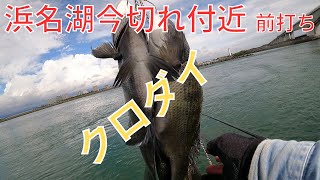 浜名湖で秋の黒鯛が釣れ出した [upl. by Sibylle]