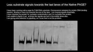 Native PAGE Polyacrylamide Gel Electrophoresis Troubleshooting [upl. by Ydnam522]