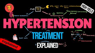 ANTIHYPERTENSIVE DRUGS Mechanism of action Side effects Pharmacology [upl. by Eissehc]