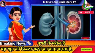 🥺किडनी स्टोन समस्या पढ़ सकती ये 🤔3 चीज खाने से बचे जादे 😁Causes Kidney Stones facts shorts scince [upl. by Irena]