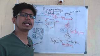 Pyrosequencing [upl. by Tekla39]