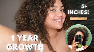 I grew my curls 5 inches in ONE YEAR heres how [upl. by Macur]