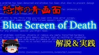 恐怖の青画面「Blue Screen of Death」とは？（ゆっくり解説） [upl. by Affra468]