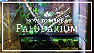 How to build an EPIC Paludarium From Scratch [upl. by Aiekam864]