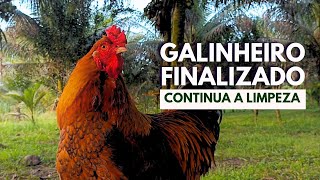 Dia de Trabalho no Sítio Galinheiro Finalizado e Limpeza em andamento [upl. by Gatias351]