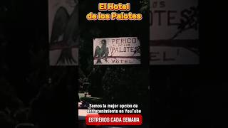 El Hotel de los Palotes Pura diversion cine peliculasmexicanas series [upl. by Sardse]