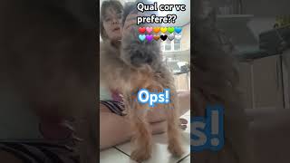 KAKAKAtags song euseiquevaiflopar humor cachorro euvoudeixardeserbesta memes pokemon [upl. by Dolley]