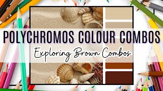 POLYCHROMOS Colour Combinations Exploring Brown adultcoloring [upl. by Aerda]