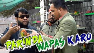 Parinda Wapas Karo  By Nadir Ali amp P4 Pakao Team  P4 Pakao  2024 [upl. by Judah]