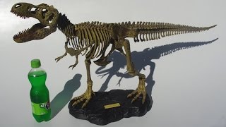 Building Mighty TRex Model Kit by EduScience WACKY LAB [upl. by Eedna]