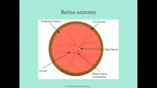 Retinopathy of Prematurity  CRASH Medical Review Series [upl. by Earl283]