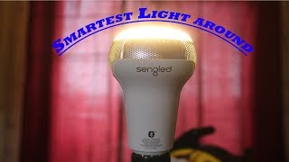 Smartest Light AroundSengled Pulse Solo Review [upl. by Nogaem191]