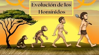 Evolución de los homínidos Un recorrido por el tiempo [upl. by Seabury]