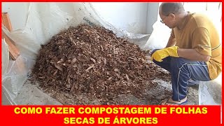 COMO FAZER COMPOSTAGEM DE FOLHAS SECAS DE ÁRVORES [upl. by Ardnoyek59]