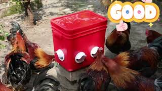 Mrli Pet Chicken Feeder No Waste Rodent Proof Chicken Feeder Automatic Chicken Feeder [upl. by Llertnad]