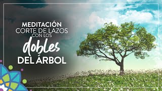 Corte de lazos con tus dobles del árbol MikeAryan [upl. by Leuamme]