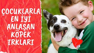 Çocuklara En İyi Anlaşan Köpek Irkları [upl. by Blasius]