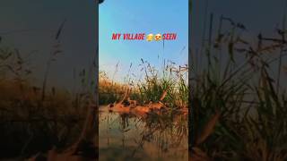 Tip tip Barsa pani musicsong minivlogminivlog popularshorts my village Look seen [upl. by Zachar]