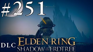 ELDEN RING 251 DLC  Ruinen von Moorth [upl. by Elletsyrc]