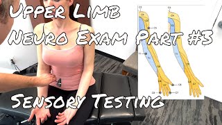 Upper Limb Neuro Exam  Part 3 Deep Tendon Reflexes Sensory [upl. by Tem]