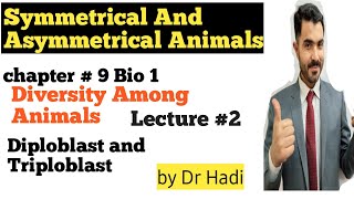 Symmetrical and Asymmetrical Animals Diploblast and Triploblastic Animals in Urdu Hindi By Dr Hadi [upl. by Aizan134]