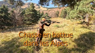 Chasse en battue dans les Alpes 💥 des postes magnifiques [upl. by Rahel]