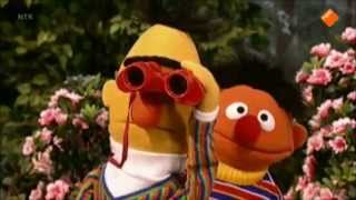 Bert en Ernie duiven spotten [upl. by Noremak]