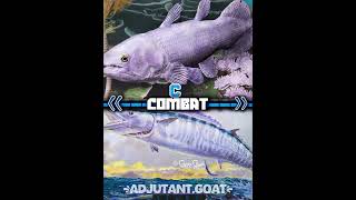 Coelacanth vs Wahoo  vsedit animals battleedit fish wisedit shorts fossil [upl. by Eanod]