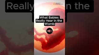 👂What Babies HEAR In WOMB Sound ON 📣 fetus [upl. by Sirak]