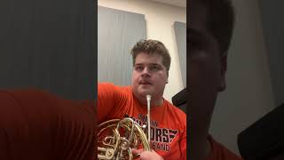 French Horn Playing Test [upl. by Drusus]