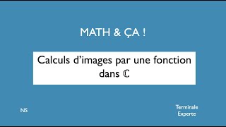 Calculs dimages par une fonction dans C [upl. by Eiramac]