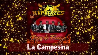 Kapatazes del Amor  La Campesina Audio [upl. by Sinnelg]