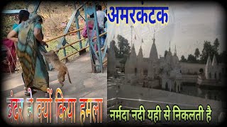 Amarkantak Tour vlog  Full tour of amarkantak bandar ne kiya hamlapyarabachapan amarkantak [upl. by Cindi]