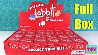 Bite Sized Labbit Vinyl Keychain Series Kidrobot Blind Box Unboxing  PSToyReviews [upl. by Hsu]