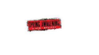 Spring Awakening  My Junk Instrumental Karaoke [upl. by Nahem]