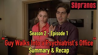 THE SOPRANOS  S2E1  quotGuy Walks into a Psychiatrists Officequot [upl. by Enamart]