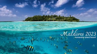 Maldives Sea Life  Komandoo Island Resort 2023 [upl. by Marolda541]