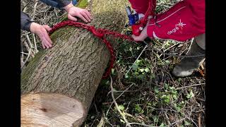 TREUIL FORESTIER MARY AGRI 4 TONNES AVEC RADIO [upl. by Cinom]