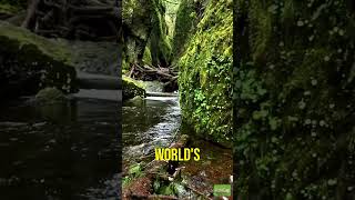 Rainforests – Nature’s Biodiversity Hotspots geography education facts funfacts [upl. by Yedoc]