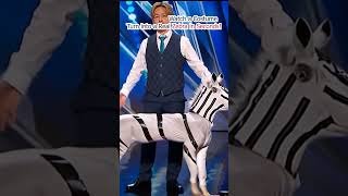 Watch a Costume Turn into a Real Zebra in Seconds 😱😨  agt americagottalent magic shorts [upl. by Ytok]