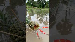 Survival Skills SIMPLE and USEFUL with Pineapple fish trap camping bushcraft outdoors [upl. by Lletnom]