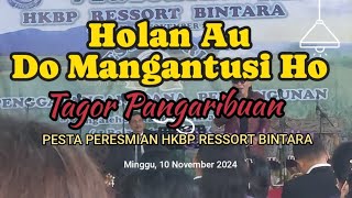 Holan Au Do Mangantusi Ho Penyanyi  Tagor Pangaribuan [upl. by Jennette]