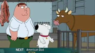 Family Guy S06E08  McStroke  Dacow scene [upl. by Verdie]